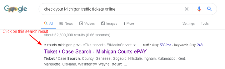 Check Michigan traffic ticket online google results tab