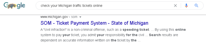 State of Michigan Ticket Payment System google search results