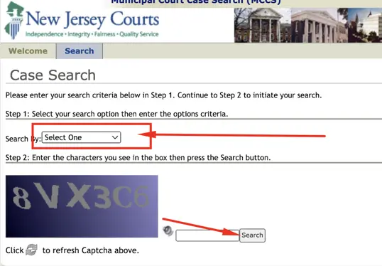 Step 2 - Select Search By Option